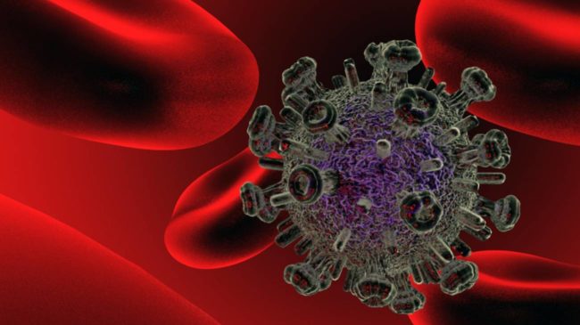 Demuestran que combinar vacunas mejora la inmunidad frente al VIH