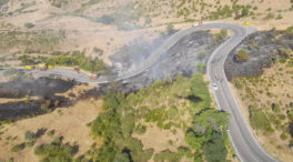 Controlados dos incendios forestales en Miraflores y San Martín de la Alameda (Madrid)