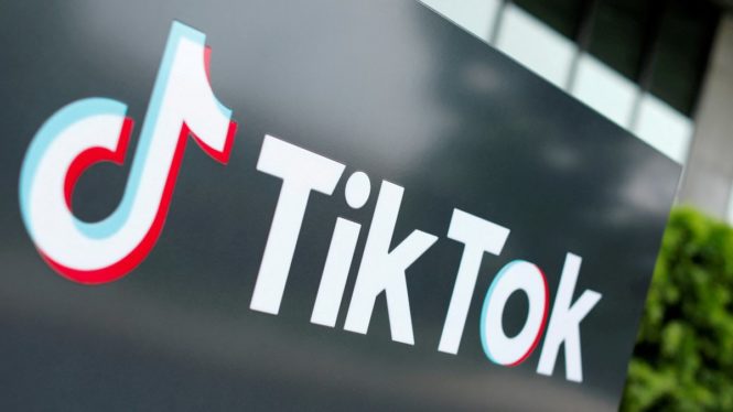 US senators ask to investigate whether the Chinese government spies through TikTok