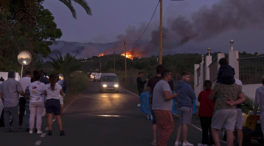 El incendio de Tenerife alcanza el Parque Nacional del Teide