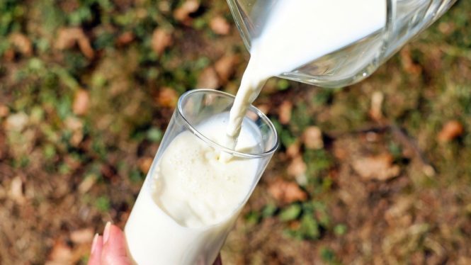 El alto consumo de leche entera podría estar vinculado con el deterioro cognitivo