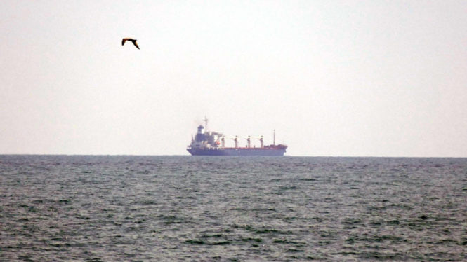 Turquía confirma la salida desde Ucrania de cuatro barcos con maíz y aceite de girasol