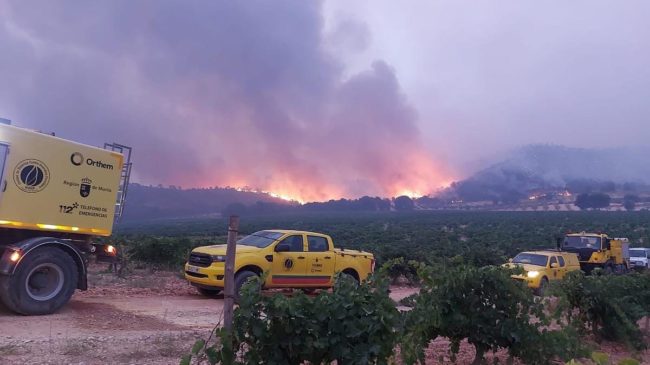 Más de 200 personas trabajan en dos nuevos incendios en Albacete y Murcia