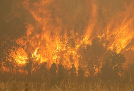La Junta de Castilla y León considera que se actuó «perfectamente» contra los incendios